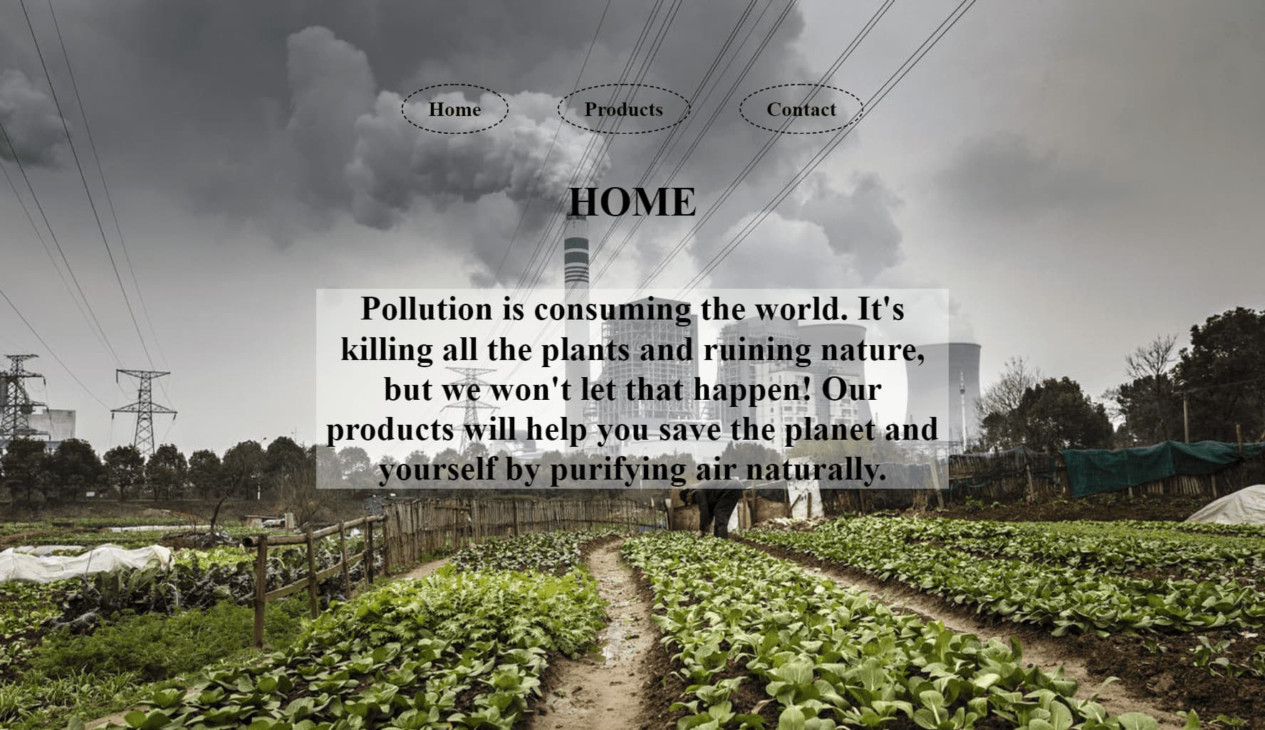 A screenshot of the challenge home page talking about Pollution