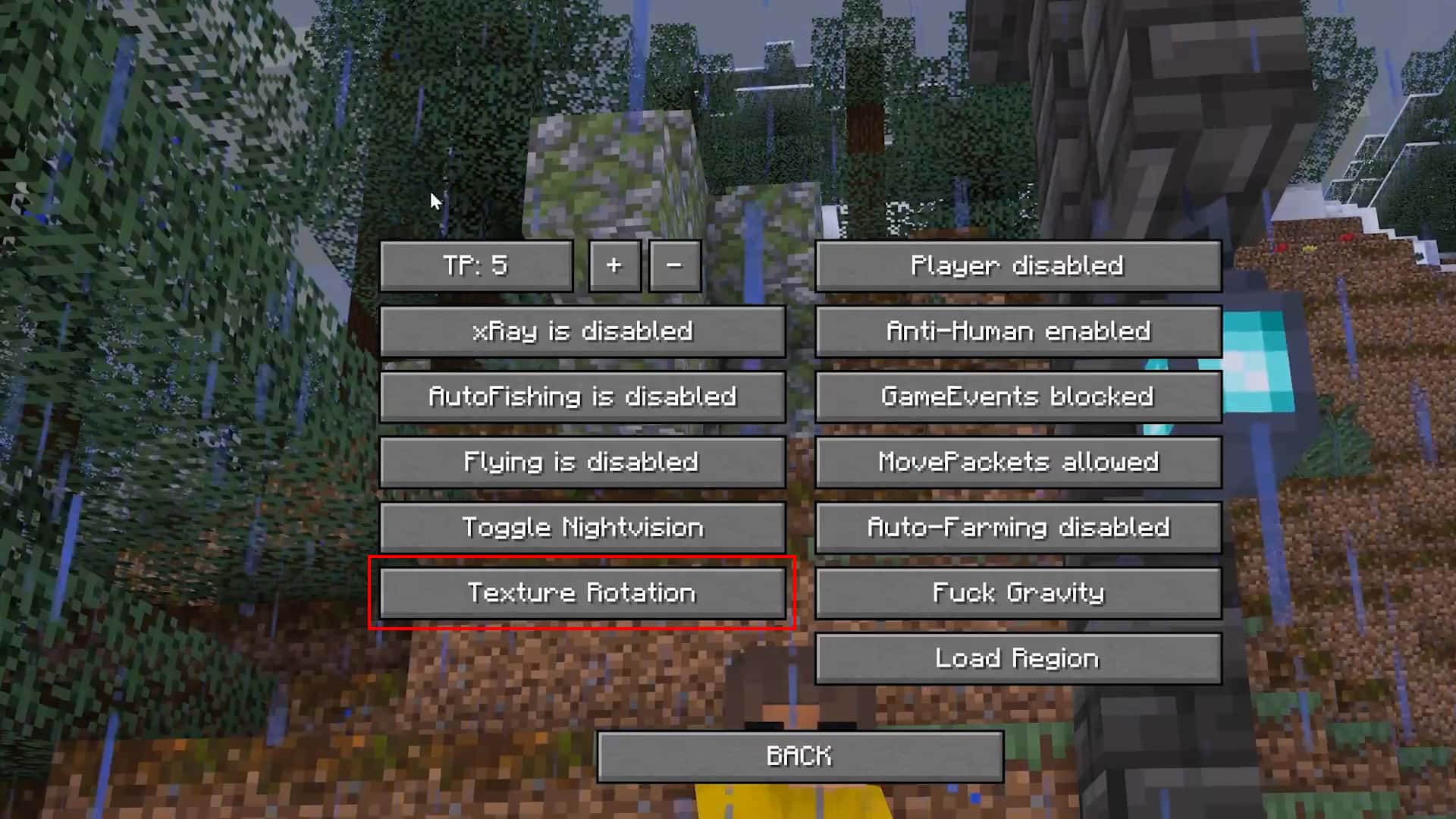 Screenshot from the video showing a button labled "Texture Rotation" in LiveOverflow's client